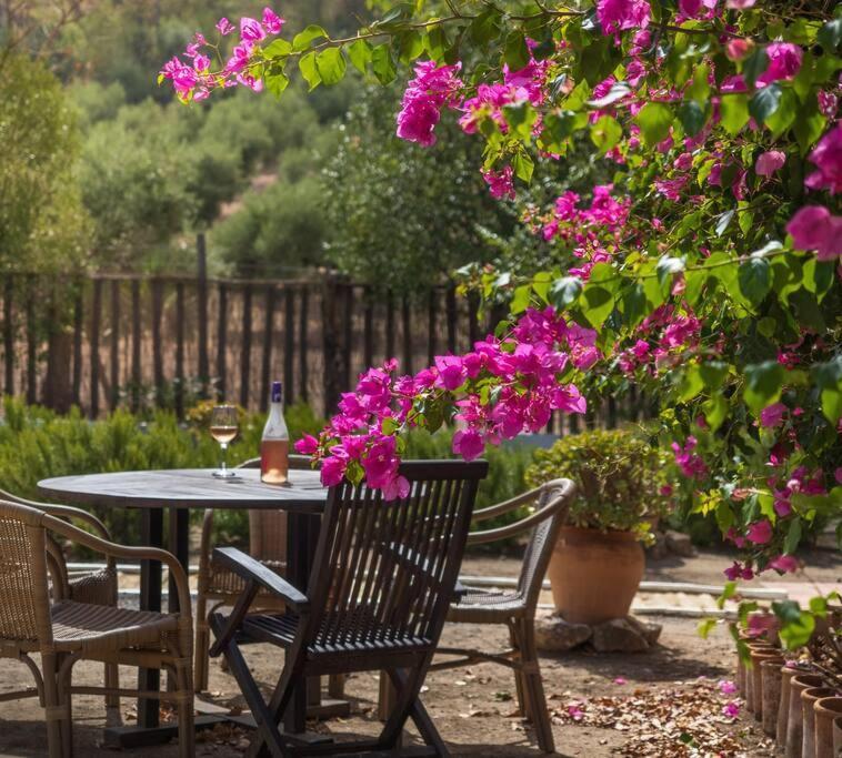 Ranchito De Alhucemas,Piscina Privada Y Barbacoa Villa Montellano Eksteriør bilde